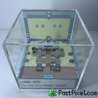 Pokemon Gym Leader Brock Diorama Cube