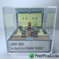 Pokemon Gym Leader Brock Diorama Cube